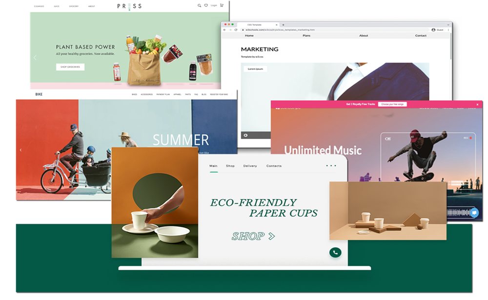 Business website development